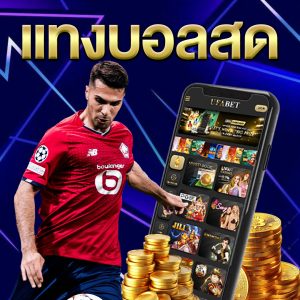 แทงบอลสด