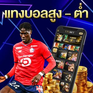 แทงบอลสูง-ต่ำ